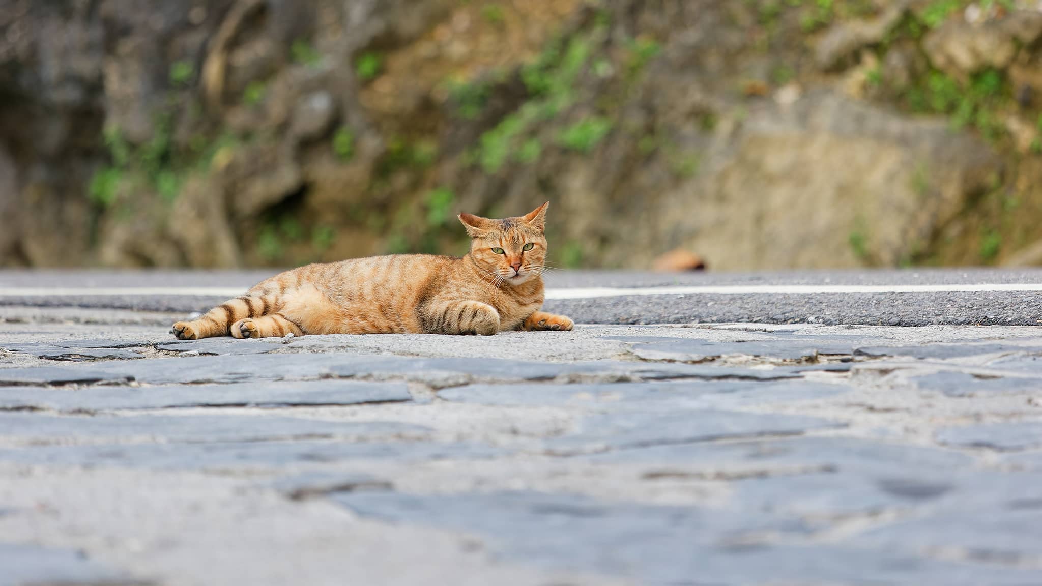 06a - Ile de Liuqiu (29).jpg